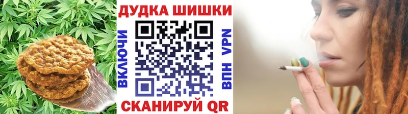 где найти Терек Canna-Cookies конопля
