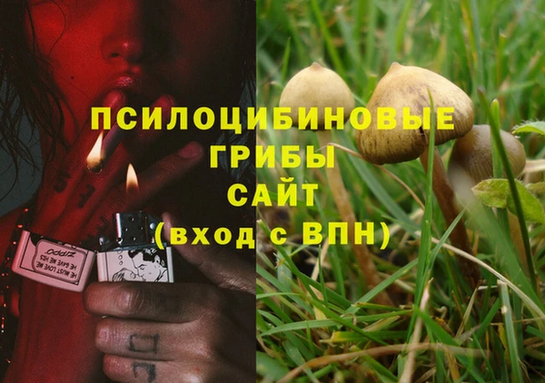 PSILOCYBIN Абинск