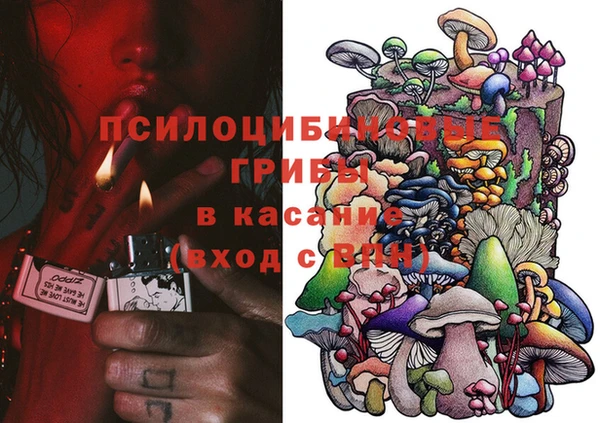 PSILOCYBIN Абинск