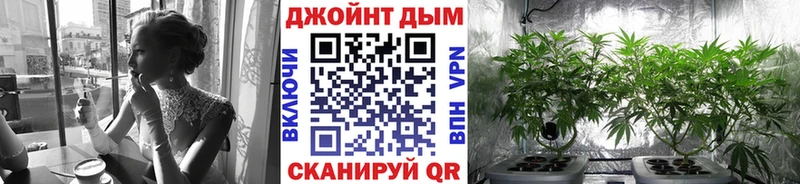 Бошки Шишки гибрид  Терек 